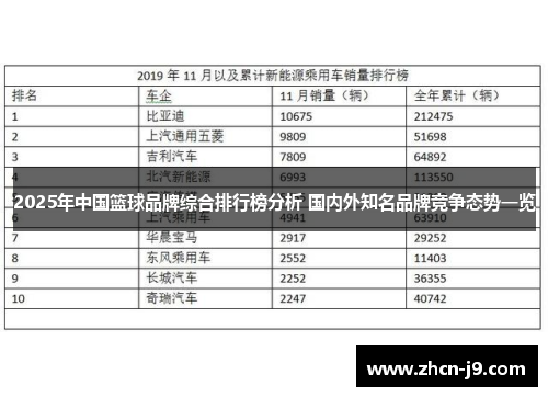 2025年中国篮球品牌综合排行榜分析 国内外知名品牌竞争态势一览