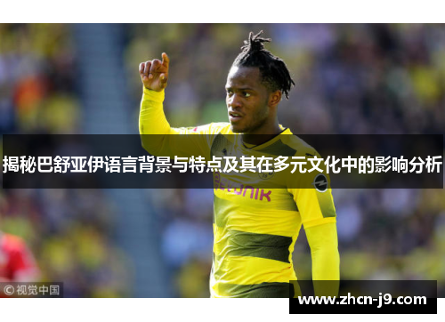 揭秘巴舒亚伊语言背景与特点及其在多元文化中的影响分析